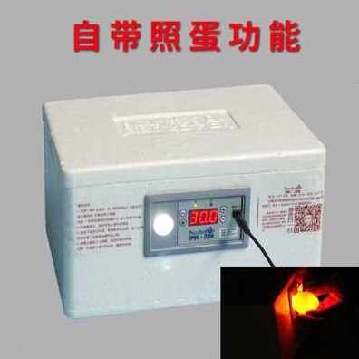 极速爆品新款1家用型鸡鸭鹅受精蛋小型孵化器全自动控温50枚鹌鹑