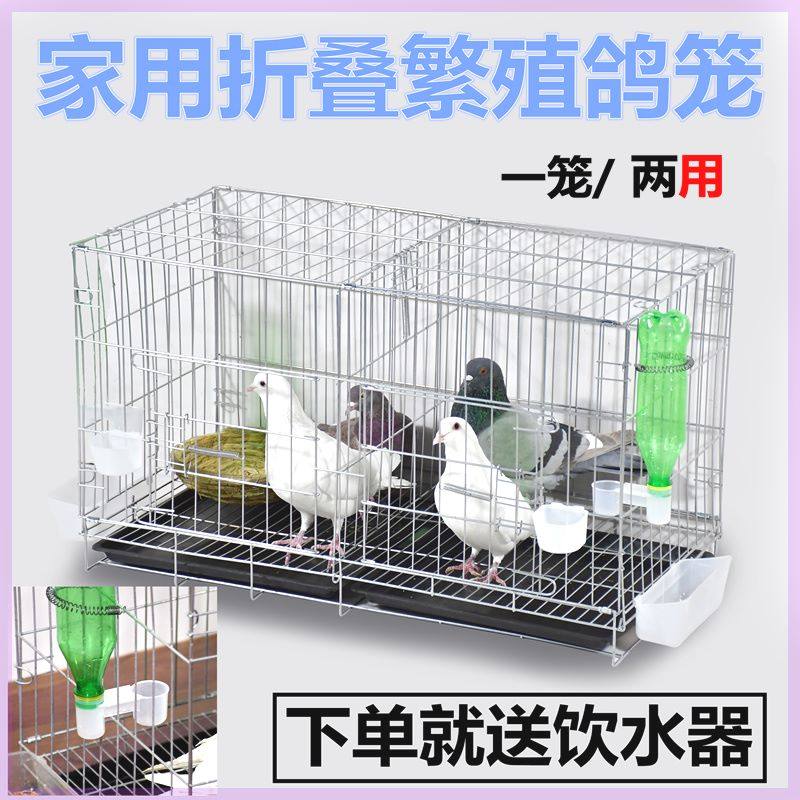 大号加粗鸽子用品用具12位16位养殖鸽子笼信鸽配对笼肉鸽繁殖笼子