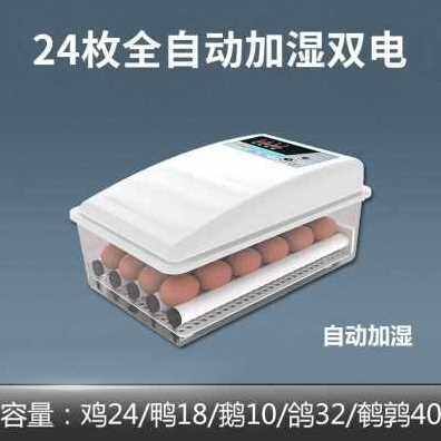 极速爆品新品孵化机小鸡迷你孵化器小型家用箱鸡鹅苗孵蛋器孵鸭W