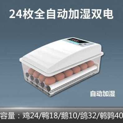 极速爆品新品孵化机小鸡迷你孵化器小型家用箱鸡鹅苗孵蛋器孵鸭W