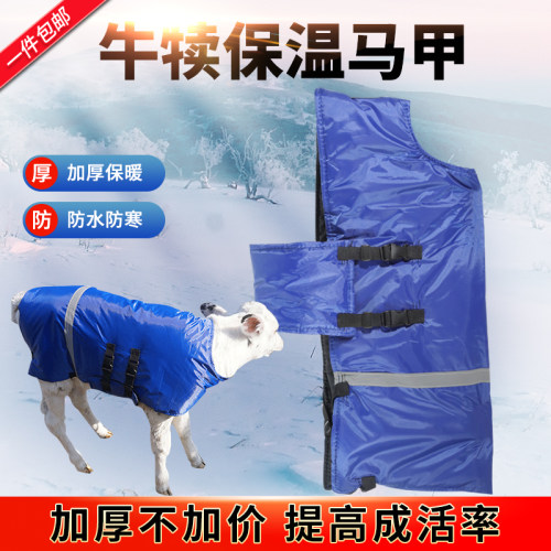 极速牛犊保暖马甲牛犊保温防寒服牛加厚防风服牛犊马甲保暖防水保