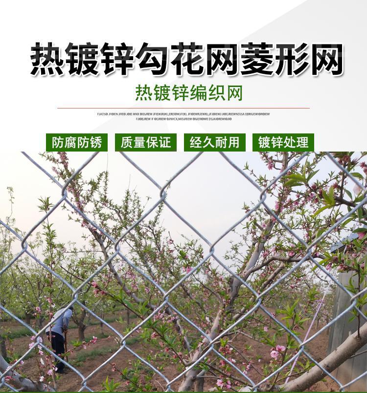 热浸镀锌勾花网铁丝网果园农场防护网菱形围栏养猪羊围栏网护栏网