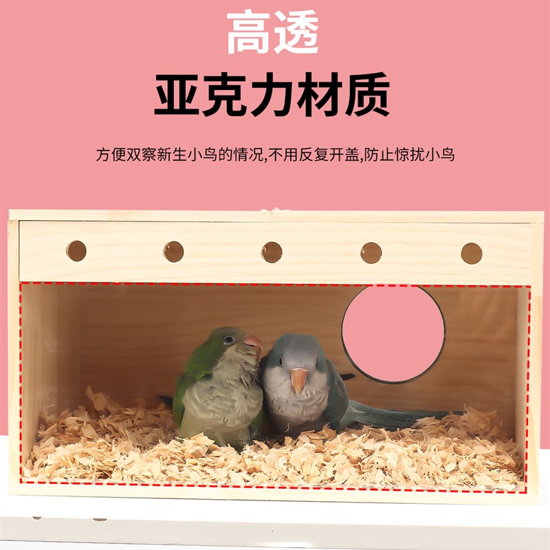 透明鹦鹉繁殖箱玄凤虎皮牡丹文鸟类用品内挂鸟窝鸟巢鸟房实木巢箱