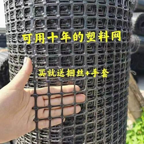 极速加厚养殖鸡鸭鹅塑胶网玉米网果园圈地围栏菜地栅栏鱼塘隔离