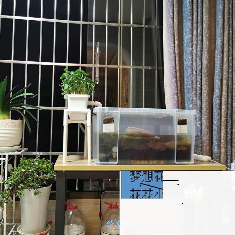 沼泽过滤植物过滤箱自制diy配件全套小型乌龟缸周转箱养殖箱实用