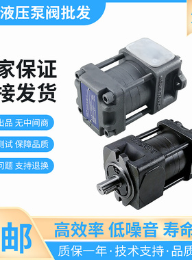 极速盛汇机械QT23-4/5/6.3/8-A系列电动高压液压齿轮压力帮浦注塑