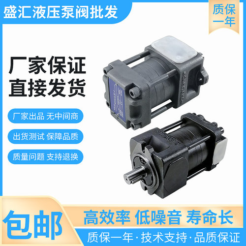 极速盛汇机械QT23-4/5/6.3/8-A系列电动高压液压齿轮压力帮浦注塑