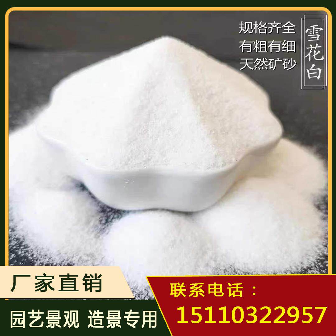河北白沙石英砂纯白色细沙子颗粒灭烟沙酒店垃圾桶烟灰缸造景沙