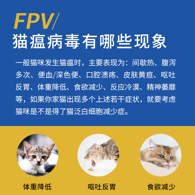 猫瘟试纸猫咪发烧感冒宠物常备品呕吐拉肚子自测卡FPV检验试纸