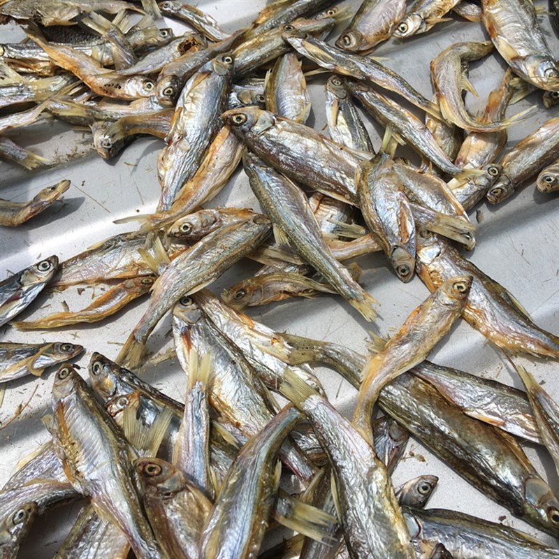 国产淡水纯鲫鱼粉饲料兽用原料养殖无盐虾粉宠物猫鸡狗粮鸟食进口