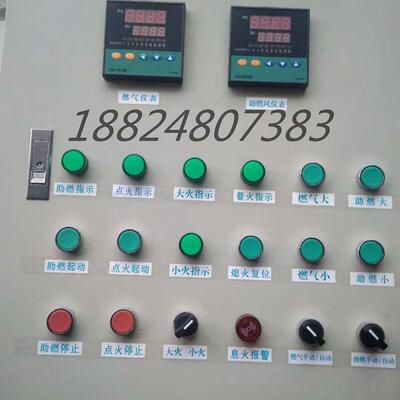 IFS258-5/1W点火控制柜IFD258-5/1W自动点火控制箱燃烧机