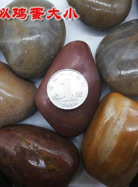 原石路厂地五24725彩抛鹅卵石雨花石铺石头五彩黑色光装饰造景石