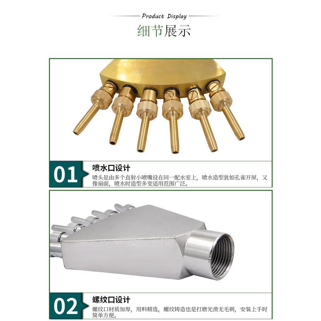 1寸孔DN2全铜凤景尾喷头雀开屏不锈钢喷头扇形喷泉水景5观喷头YML