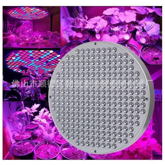 全光谱植物补光灯LED量子板灯吊挂式温室大棚花果蔬菜多肉生长灯图片