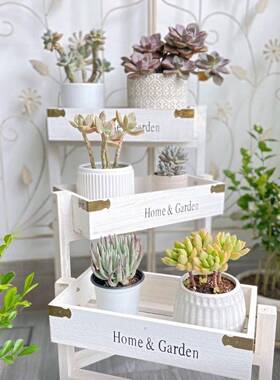 花伸缩折叠三小花古架NXO创意拐角架多肉花盆架子复实木层多层架