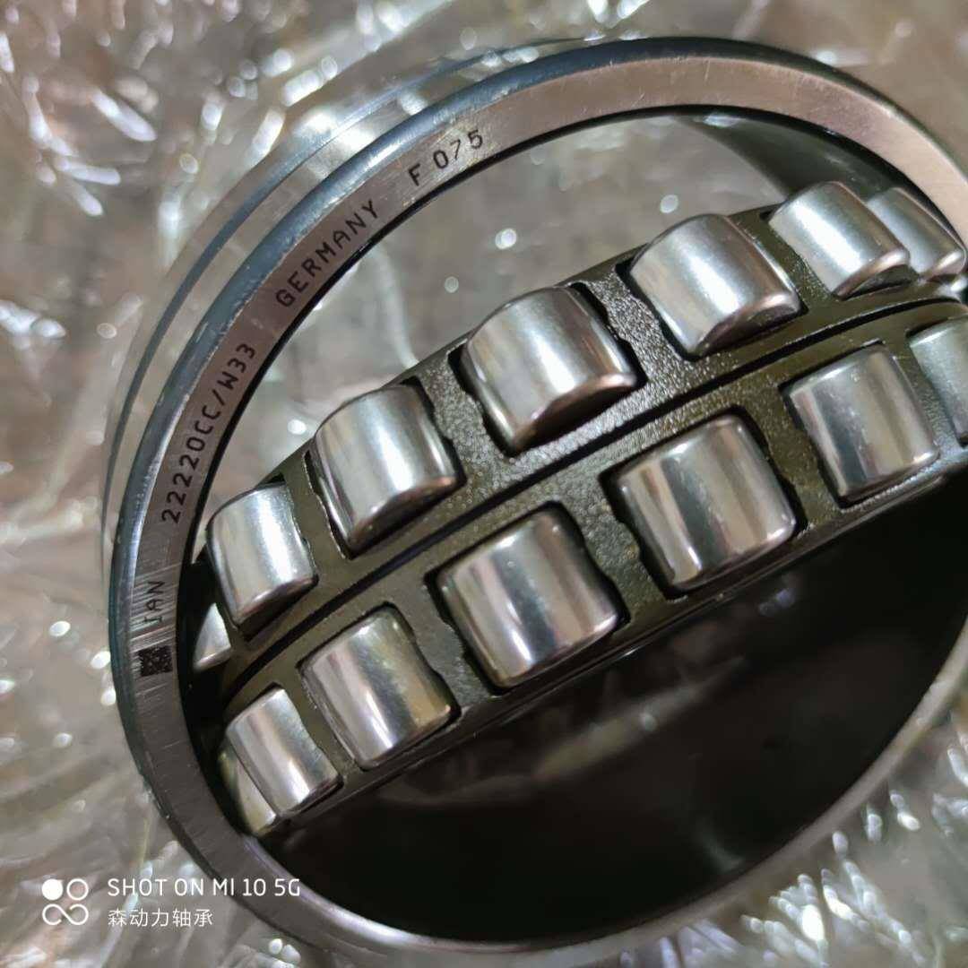 德国进口承21DXM1821轴19212021222124BS22208-2CS1