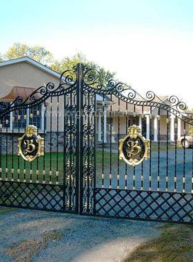 现锻造铁IMV艺庭院大门别防墅代欧式铁花门盗门I现代铁艺门rongat