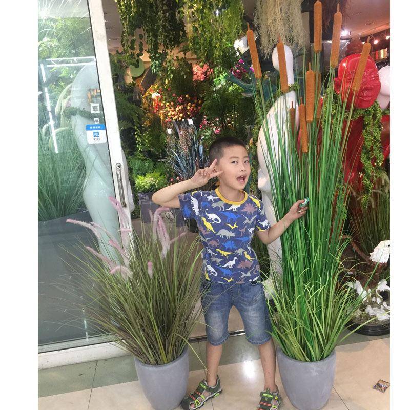 3892盆洋葱饰仿真植物草盆个性仿真狗草尾草加大盆装造栽景绿植