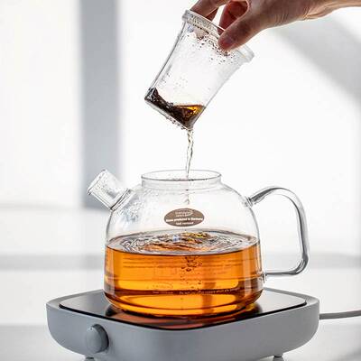 德国进口trendglas JENA高硼硅泡茶玻璃壶简约家用耐热煮茶壶茶具