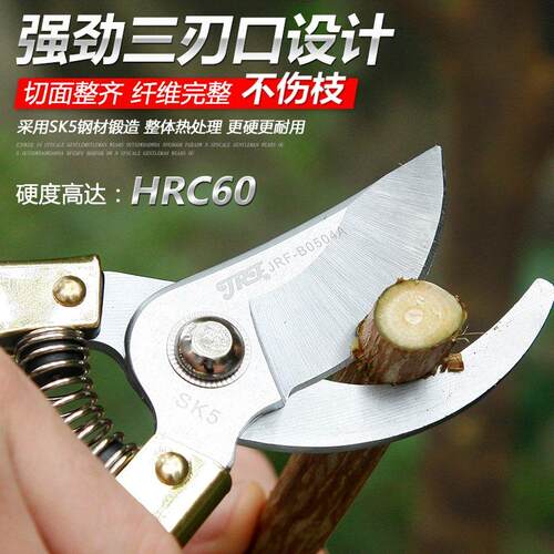 精锐锋 园艺剪果树工具修枝剪粗树枝剪修花剪刀花木修剪工具