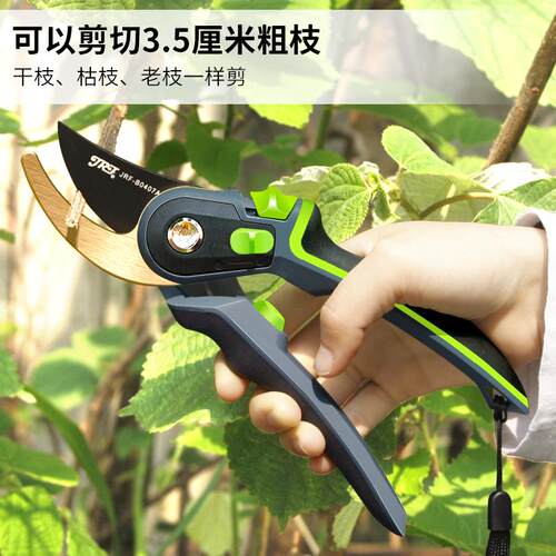 精锐锋 园艺剪刀剪枝剪刀修剪树枝果树修枝剪园林剪刀花剪剪花枝