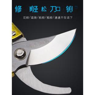 不锈钢花剪手工修枝剪园艺剪刀艺剪果树剪省力花卉园林采摘剪刀