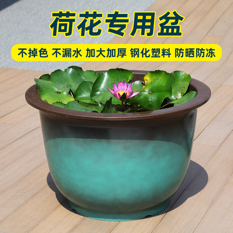 户外塑料花盆荷花盆缸加厚彩釉庭院养鱼水培睡莲碗莲铜钱草专用缸