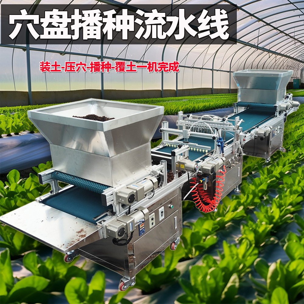 黄瓜辣椒芹菜全自动育种器流水线蔬菜花卉装土压穴育苗穴盘播种机