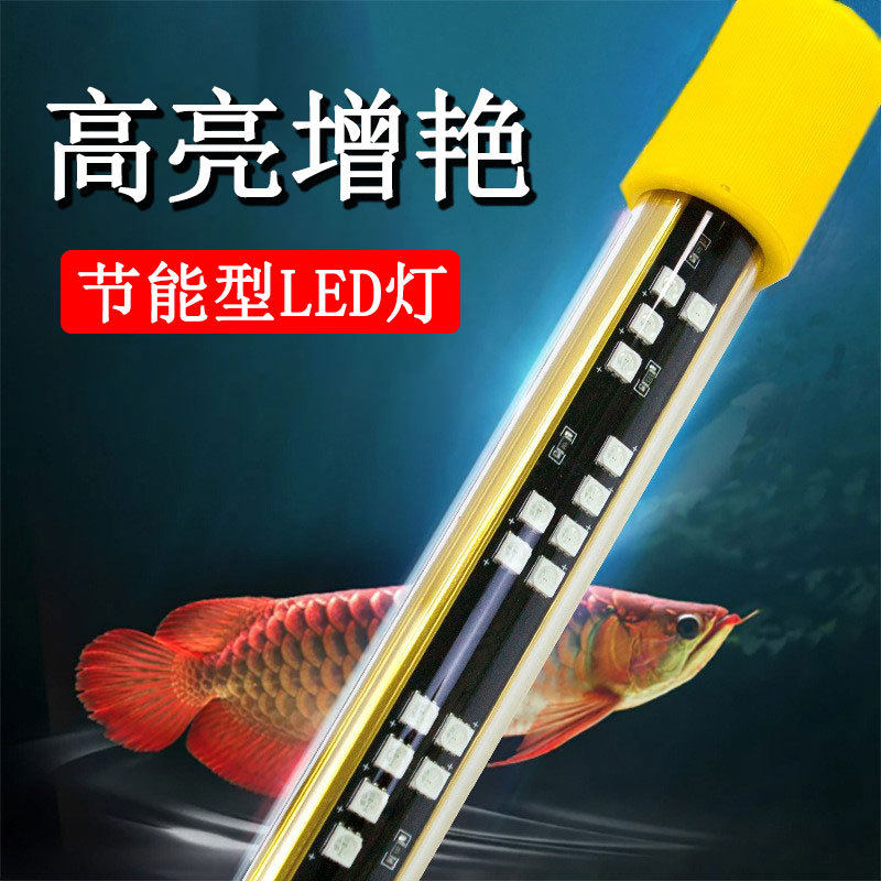 超亮防水灯龙鱼增艳神灯鱼红水不红潜水水族馆鱼缸专用灯厂家直销