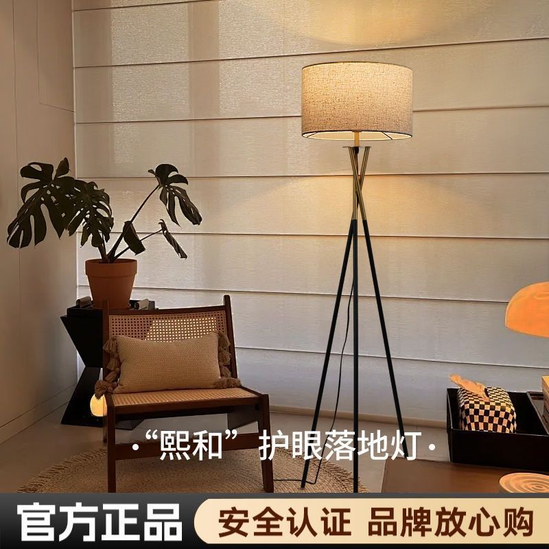 网红轻奢客厅沙发旁落地灯