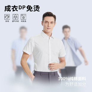 休闲商务正装 杉杉官方短袖 新款 男纯棉免烫2025夏季 白色衬衣男 衬衫