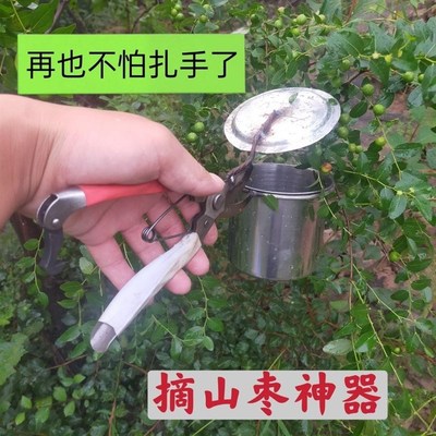 速发摘酸枣神器山酸小多器能采摘工具不锈钢摘果神功枣型家用防扎