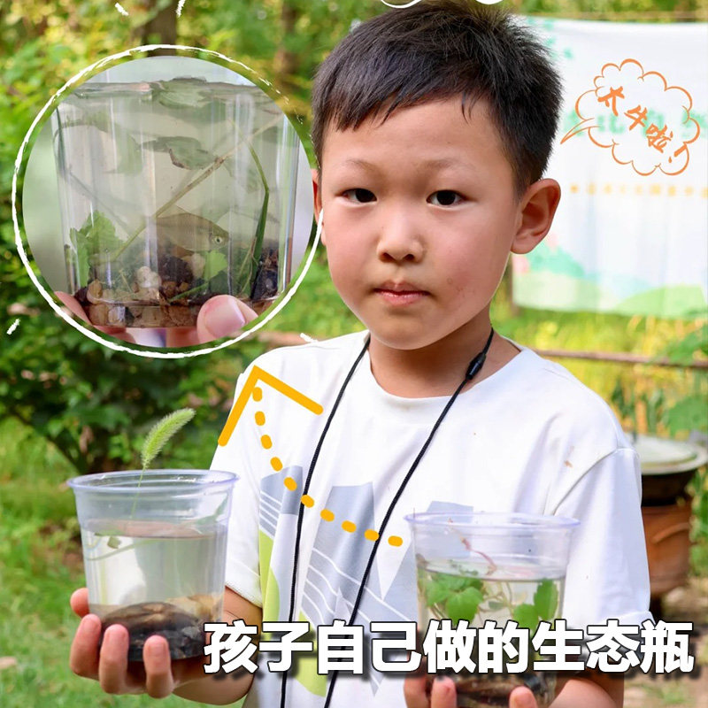 速发班主任推荐初中生物生态瓶材环鱼循料微景观水草桌面创意自缸