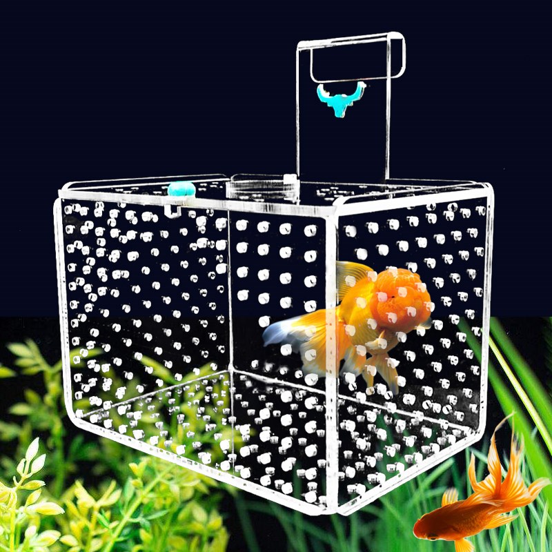 速发鱼缸隔离盒保护小鱼悬浮孔亚克力水族饲养箱大小号式雀斗鱼苗图片