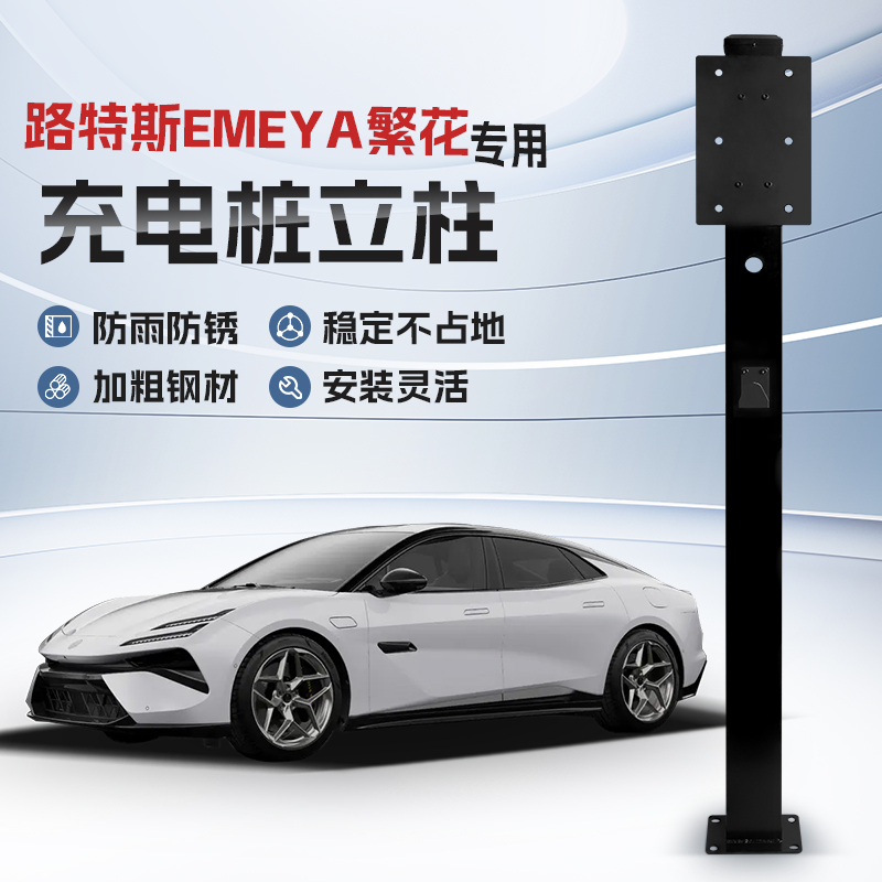 【镀锌】路特斯EMEYA繁花充电桩立柱支架保护箱新能源车户外固定