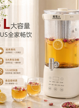 多功能煮茶壶养生壶炖煮一体大容量花茶壶桶器家用烧水壶煮茶器