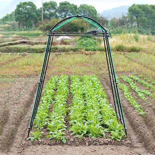南瓜架子庭院葡萄瓜丝蔬菜爬87001藤支架葫芦园支艺室爬藤架外植