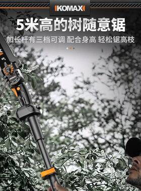 锂电枝锯电动dlv高枝剪加长杆伸缩充高修果电式园林高空电锯家用