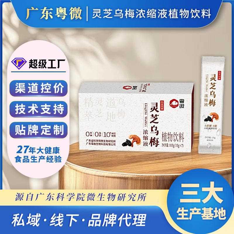 灵芝乌梅饮大别山灵芝超萃20倍浓缩液0脂0糖消暑解腻植物饮料