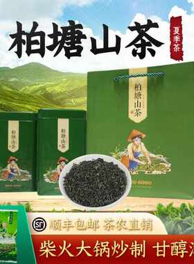 新疆包邮柏塘山茶夏季茶广东十大名茶惠州特产博罗送礼绿茶罗浮山