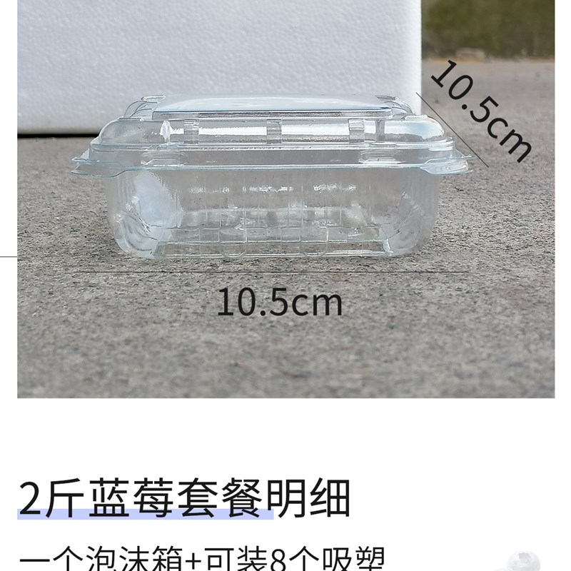 热销蓝莓泡沫箱子1斤2斤装蓝莓A枸杞小水果快递专用包装盒打包盒