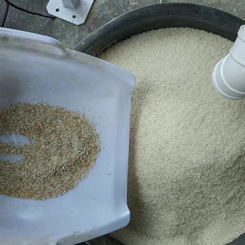 热销大米小d型碎米黑头家用色选机石子浅黄米虫杂质一次工厂分选