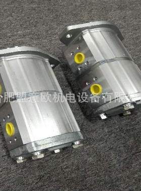 德国CONCENTRIC油泵WP15A2 1830664，HALDEX电机泵