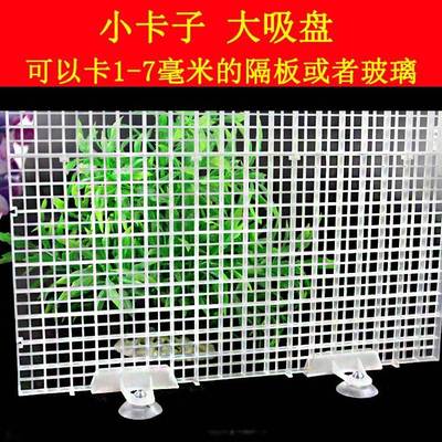 斗鱼玻璃隔板鱼缸隔离夹吸盘夹固定夹隔离夹隔板夹水族箱