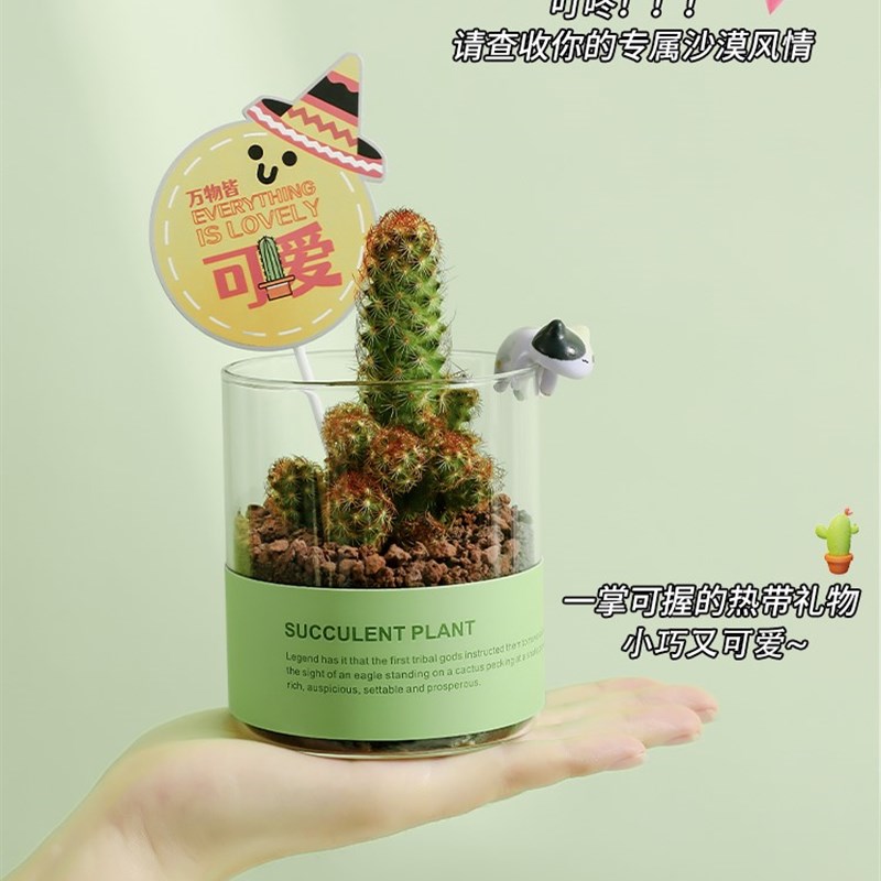 生日礼物实用公司开业活动送员工客户商务团建伴手礼盒毕业送老师