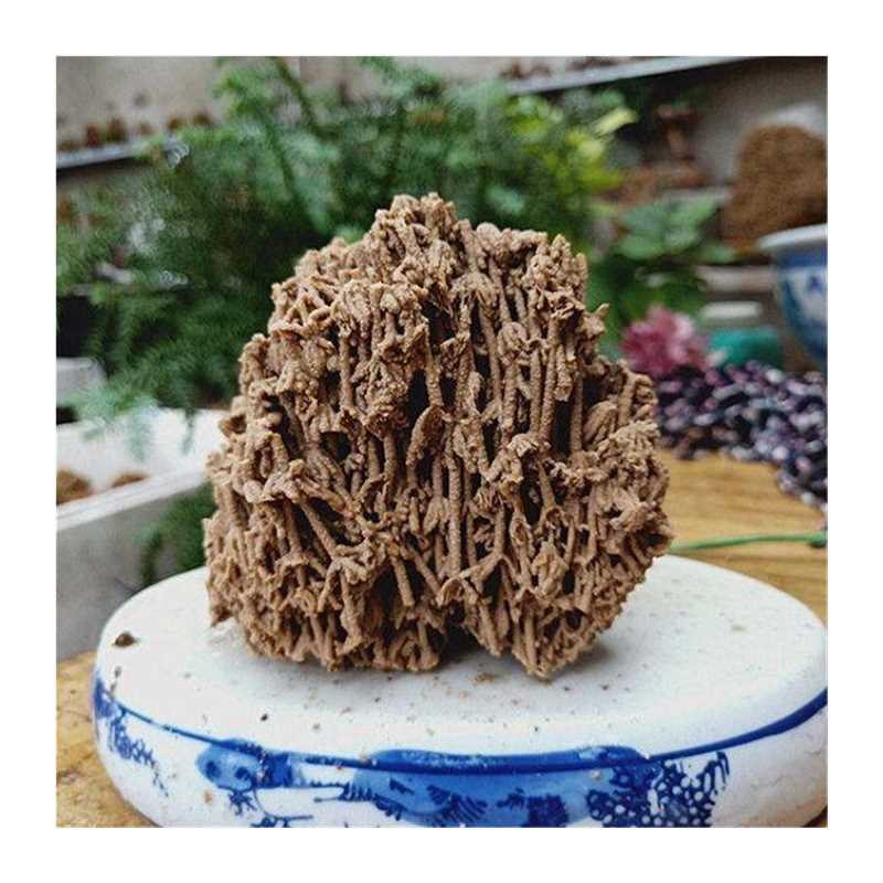 微小型天然水石吸水石假山盆景鱼缸造景桌面摆件