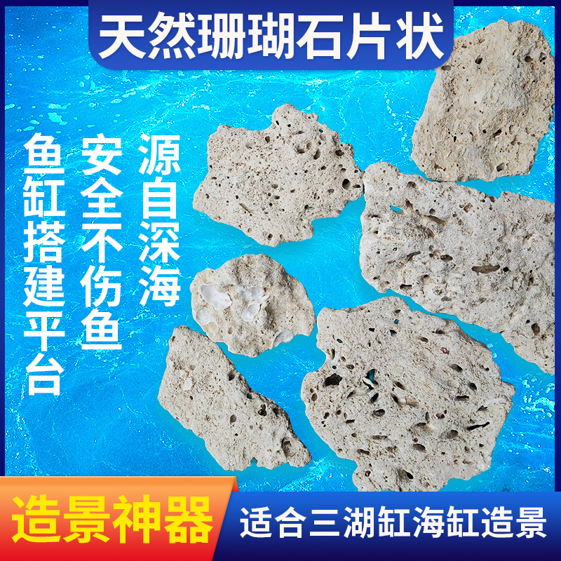 天然珊瑚石死石活石造景海水鱼缸三湖慈鲷造景材料免爆藻快速开缸