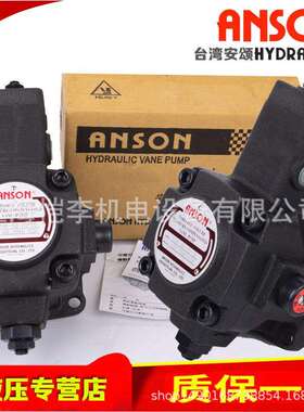 DENISON丹尼逊T6E-045-1R00-A11R011R021R031L2R2LB1