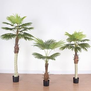 热带植物假棕榈树仿真扇葵树 室内造景葵树唐棕葵盘栽仿真蒲葵