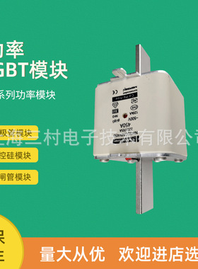 全新熔断器保险丝NH3UD69V450PV M320585 NH3UD69V500PV P320587